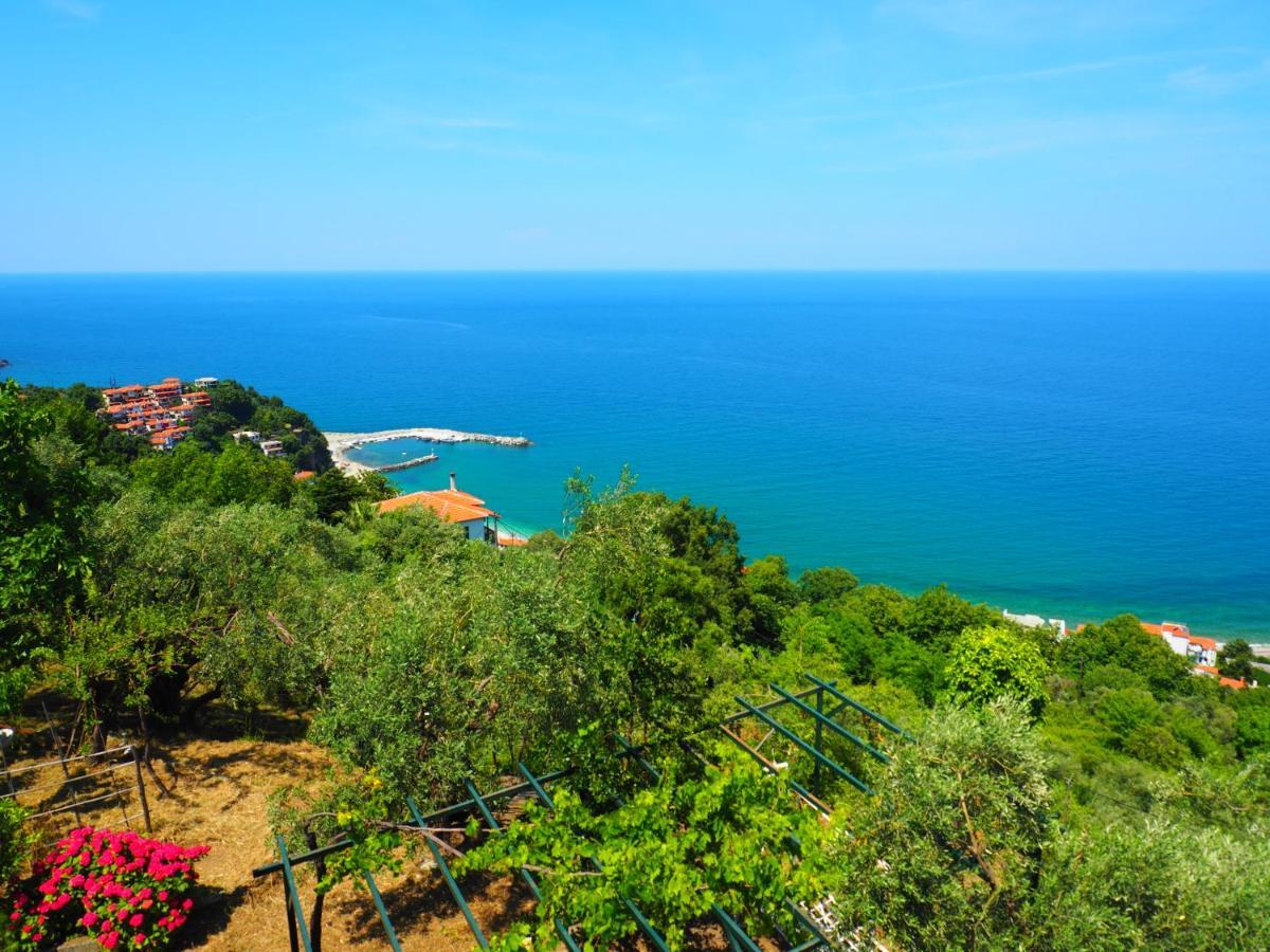 Felitsia Apartments & Studios Agios Ioannis  Zewnętrze zdjęcie