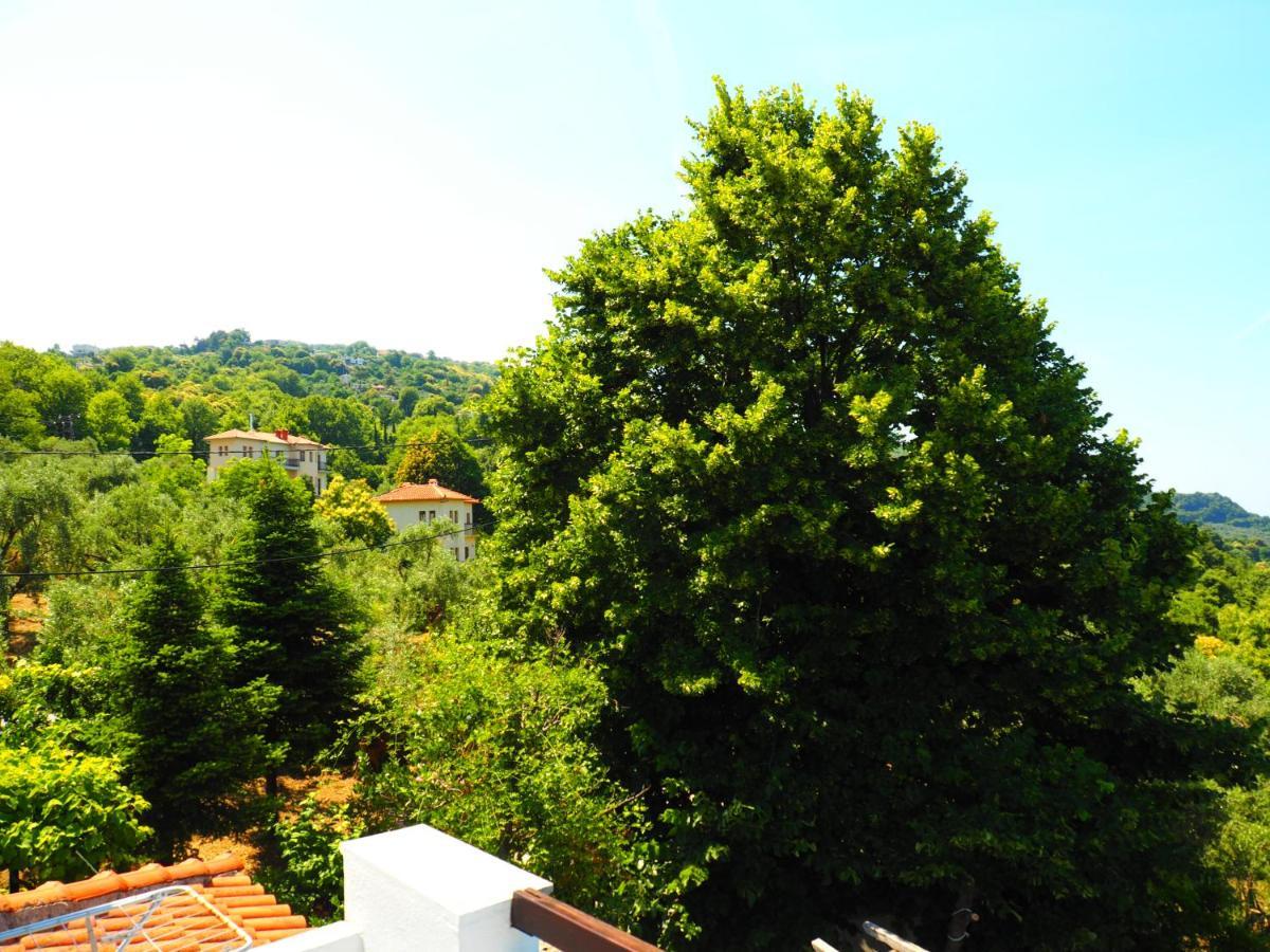 Felitsia Apartments & Studios Agios Ioannis  Zewnętrze zdjęcie