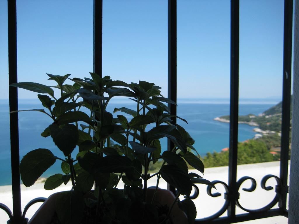 Felitsia Apartments & Studios Agios Ioannis  Zewnętrze zdjęcie