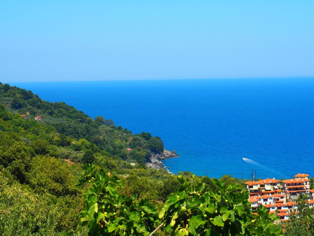 Felitsia Apartments & Studios Agios Ioannis  Zewnętrze zdjęcie