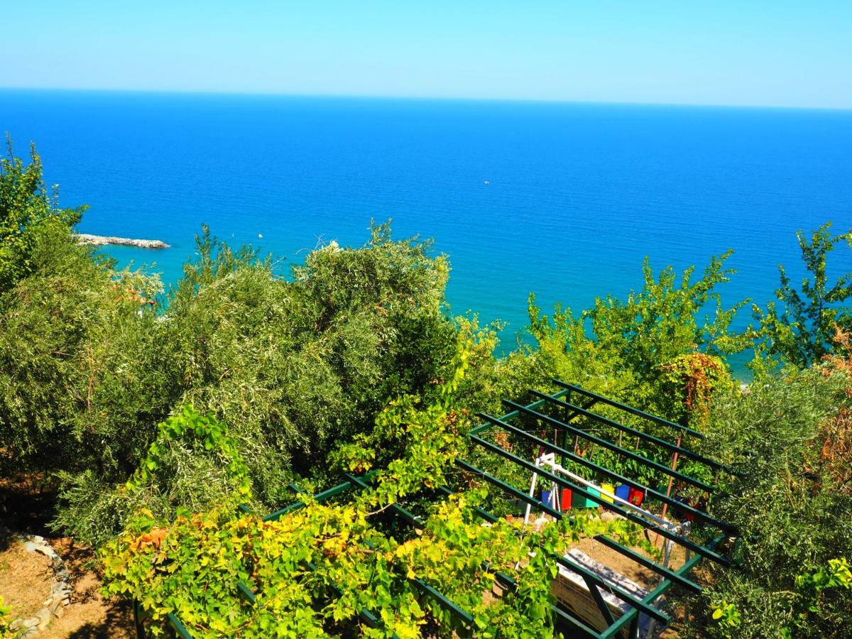Felitsia Apartments & Studios Agios Ioannis  Zewnętrze zdjęcie
